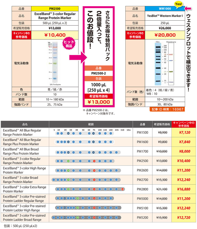 ExcelBand タンパク質分子量マーカー20%OFF!