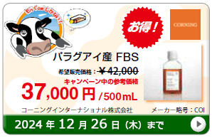 pOACY EVَ (FBS) Ly[@ԁF2024N1226()܂