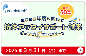veCebN 񎟍Ŕ^FlexAbleR̕WLbg^T|[g25`30%OFFLy[@ԁF2025N331ij܂