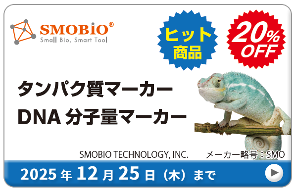 ExcelBand? DNA qʃ}[J[E^pNqʃ}[J[ 20%OFF!@ԁF2025N1225i؁j܂