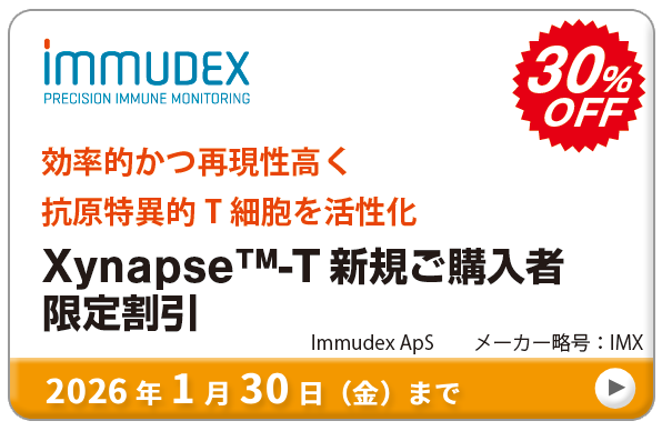 RٓITזE Xynapse?-TVKw30%OFFLy[@ԁF2026N130ij܂