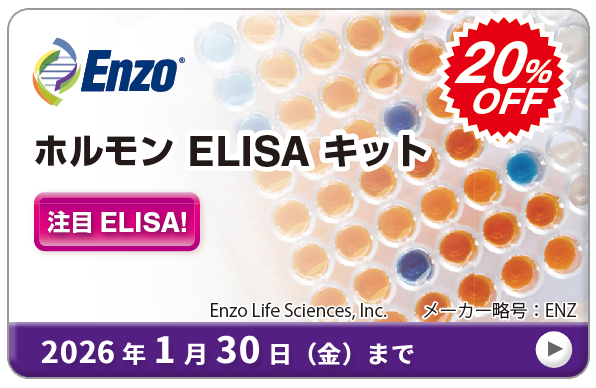 zELISALbg 20%OFF Ly[@ԁF2026N130ij܂