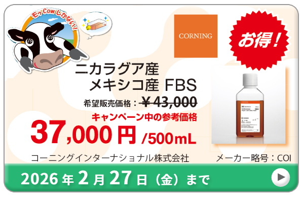 EVَ (FBS) ʉiLy[@ԁF2026N227ij܂