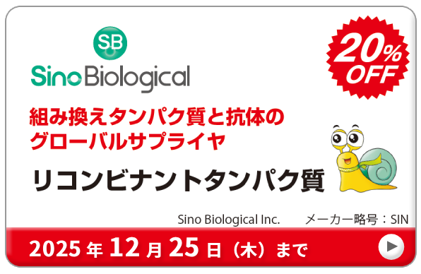 ~Ly[ Rrig^pN@20OFF@ԁF2025N1225i؁j܂