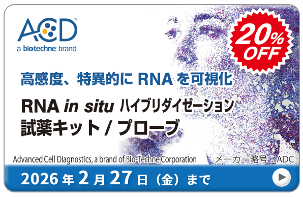 RNA in situ nCu_C[[V LbgAv[u 20%OFF Ly[@ԁF2026N227ij܂