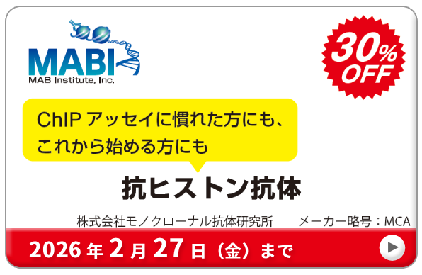 N}`Ɖu~֘Ai 30OFF!@ԁF2026N227ij܂