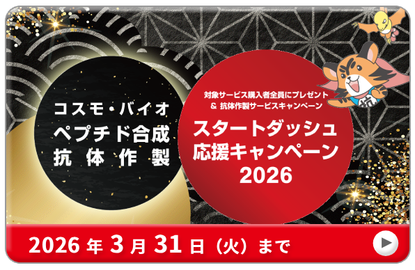 �R�́E�y�v�`�h�@�X�^�[�g�_�b�V�������L�����y�[��2026�@���ԁF2026�N3��31���i�΁j�܂�