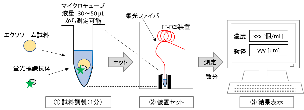FF-FCS測定の手順