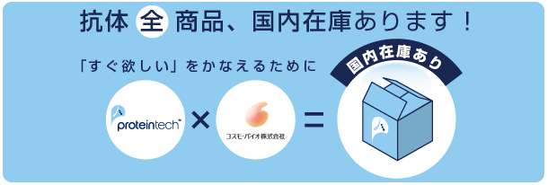 Proteintech社 免疫蛍光染色 If のヒントとコツ コスモ バイオ株式会社