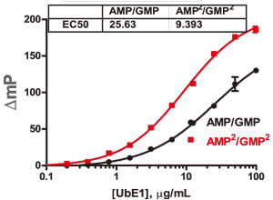 AMP2_GMP2_4.gif