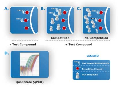 Assay Principle