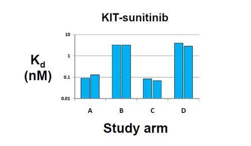 KIT-sunitinib Dissociation Kinetics|試験データ例