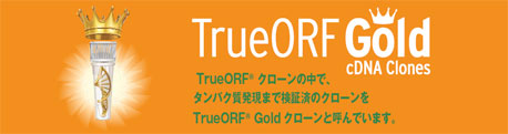 TrueORF Gold N[