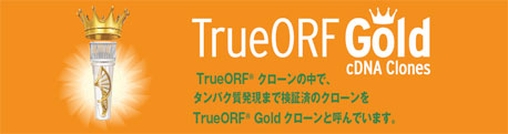 TrueORF Gold クローン
