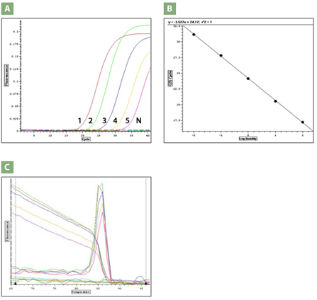 AccuTarget(TM) hPGK1 primer setphPGK1ΏۂƂA^CPCRxs