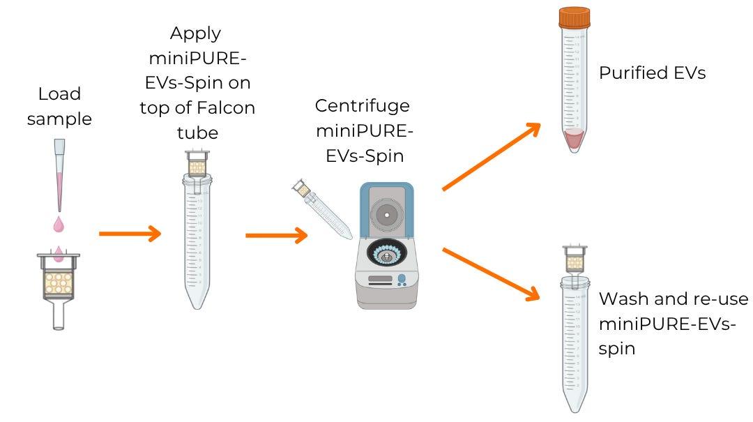 miniPURE-EVsスピンカラム 使用手順のイメージ図