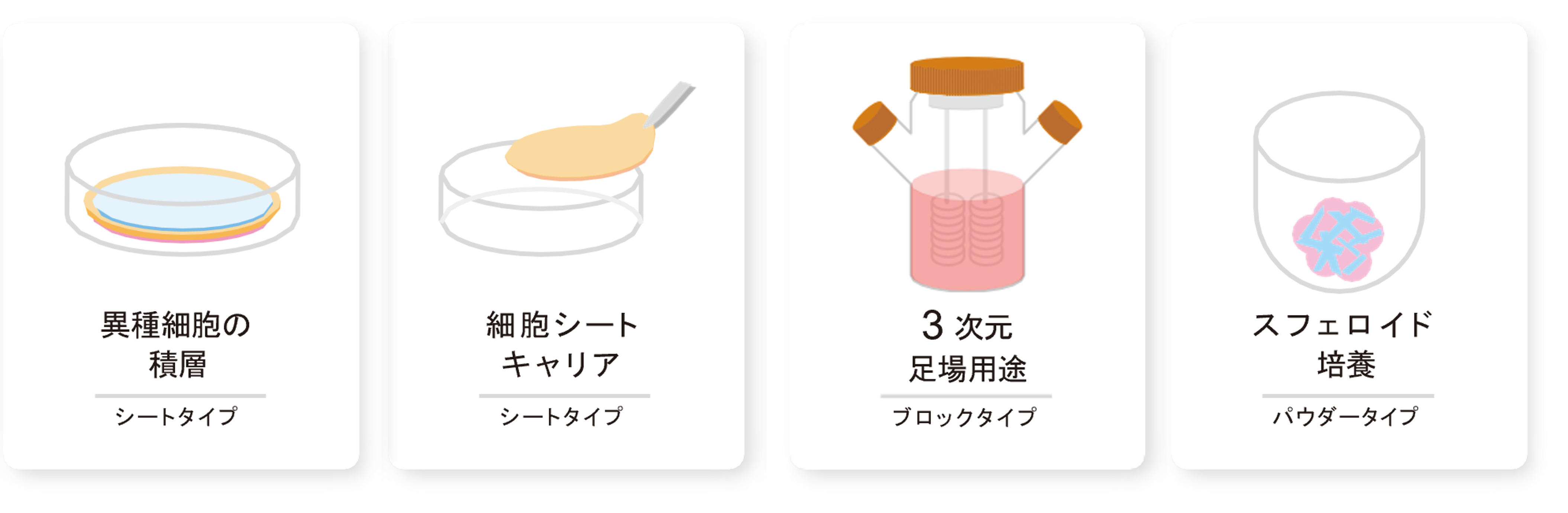 Ǝ̕sDz\̃[`pAזE|{p