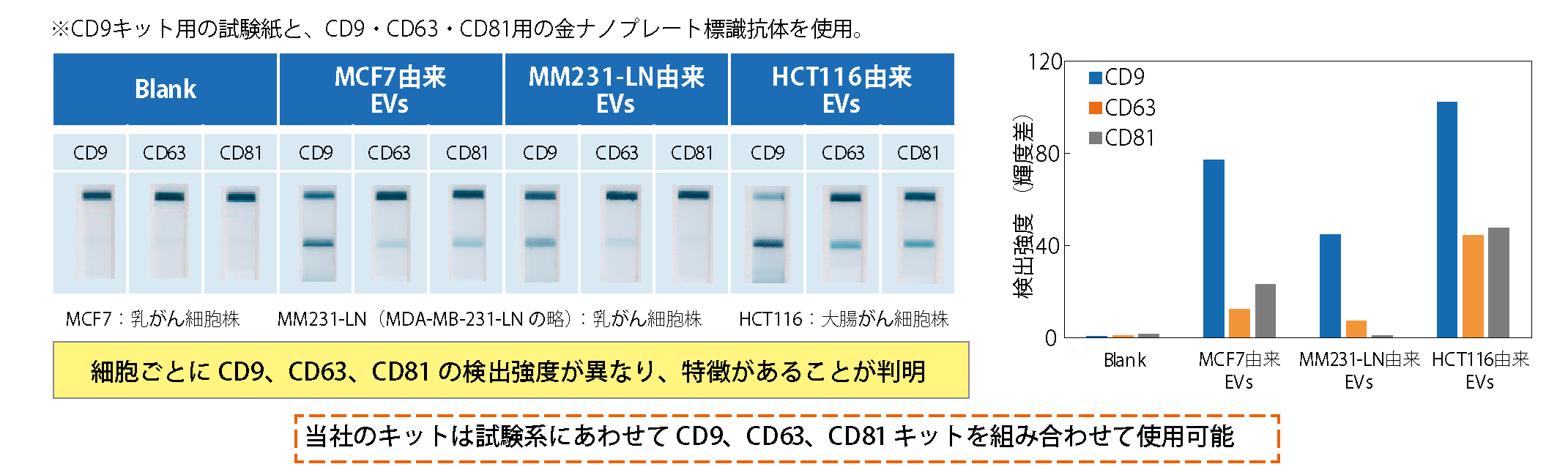 癌細胞由来エクソソームの評価の図
