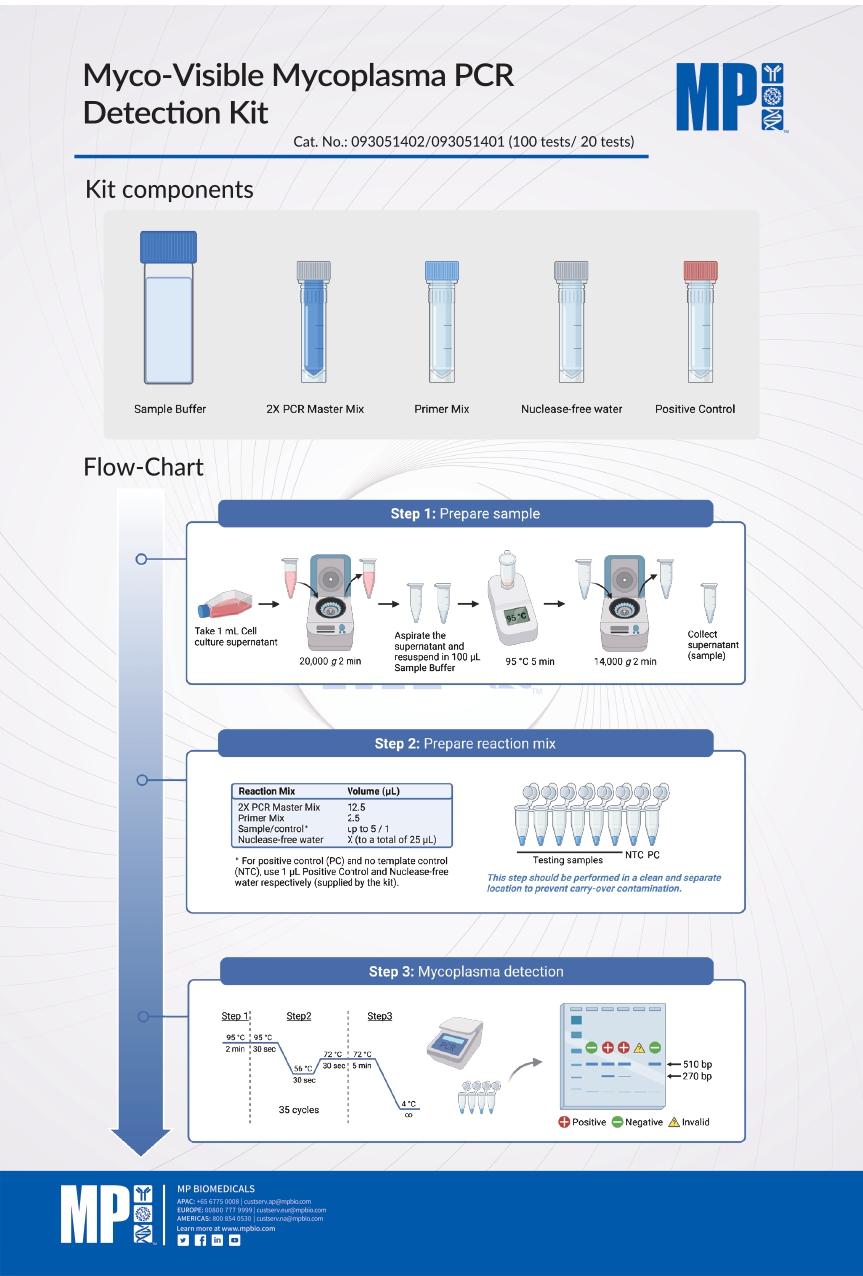 Myco-Visible Mycoplasma PCR Detection Kitのフローチャート図