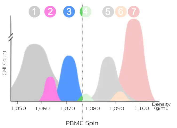 密度分布の模式図