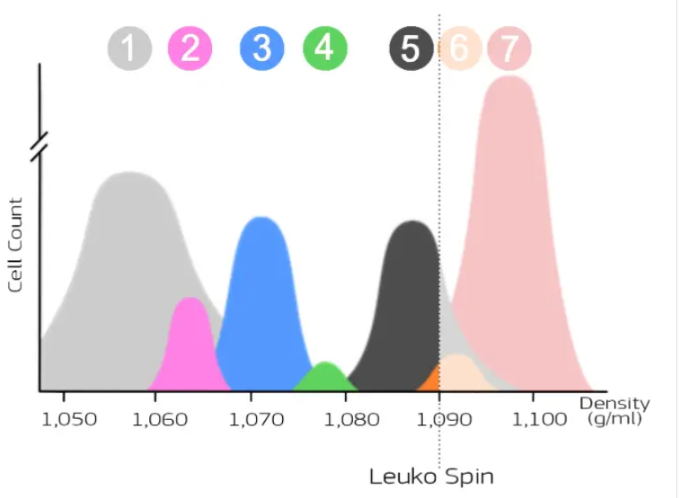 密度分布の模式図