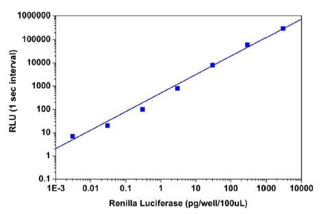 Amplite(TM)RenillaVtF[[|[^[`qAbZCLbgő