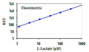 L-乳酸の用量反応