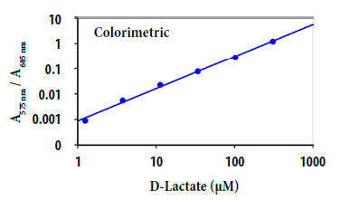 D-乳酸の用量反応