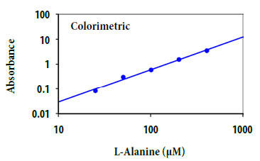 L-アラニンの用量反応