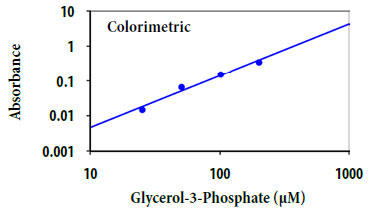 グリセロール-3-リン酸オキシダーゼ