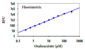 オキサロ酢酸の用量反応