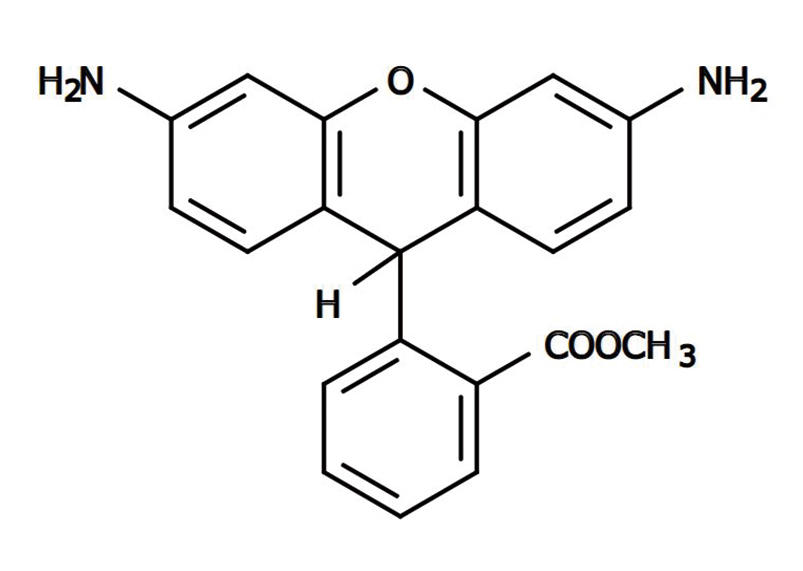 Dihydrorhodamine 123 *CAS 109244-58-8*の化学構造