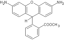 Dihydrorhodamine 123