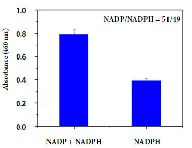 アッセイキットを用いたNADP / NADPH比の測定
