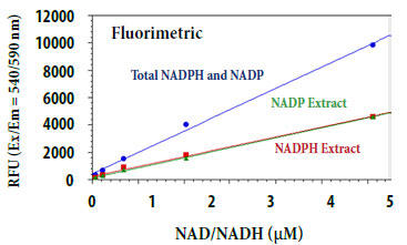 トータルNADP/NADPHとその抽出物の用量反応測定