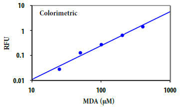 MDA用量反応の測定