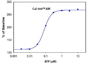 Cal-500(TM) AM ɂAATPhCHO-K1זE̍זEJVE