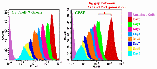CytoTell(TM) GreenyCFSEpזEǐ