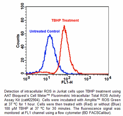 TBHP処理したJurkat細胞の細胞内ROSの検出