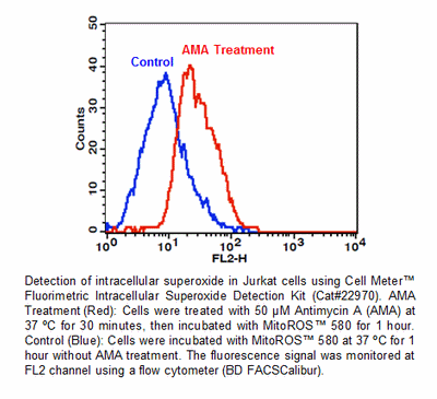 品番22970を使用し、AMA処理した Jurkat細胞のスーパーオキシドのフローサイトメトリー検出 