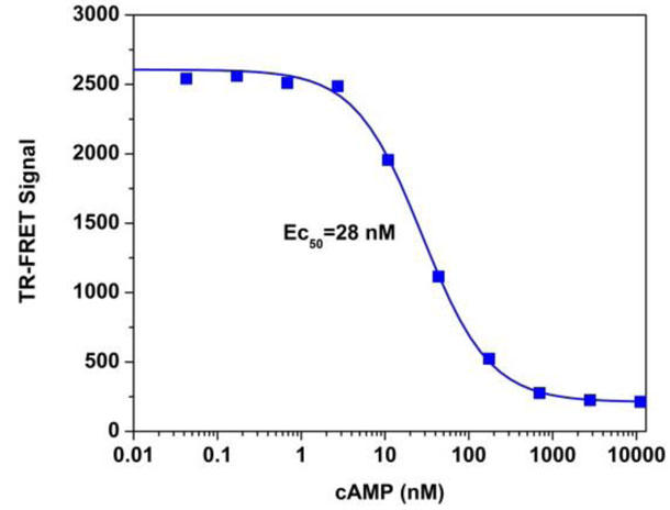 cAMP投与反応をTR-FRET cAMPアッセイキットで測定