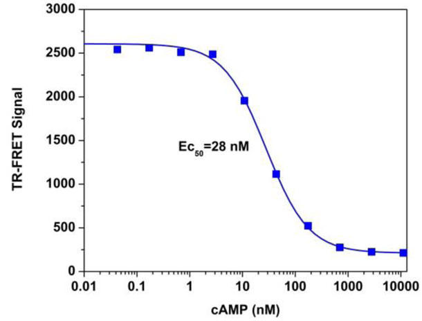 cAMP^TR-FRET cAMPAbZCLbgő