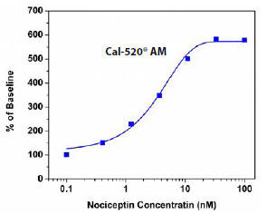 ノシセプチン刺激性カルシウム応答を測定