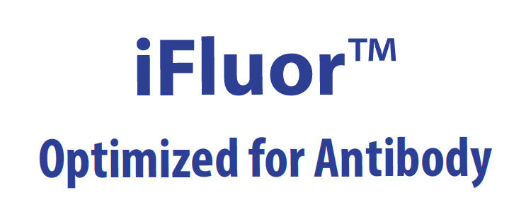 iFluor(TM) Optimized for Antibody