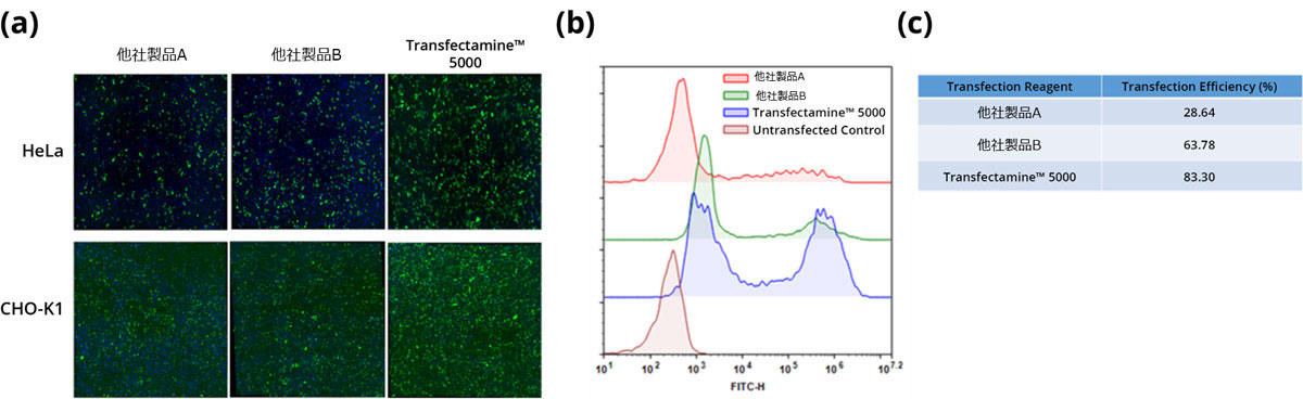 ABD_transfectamine_5000_fig2.jpg