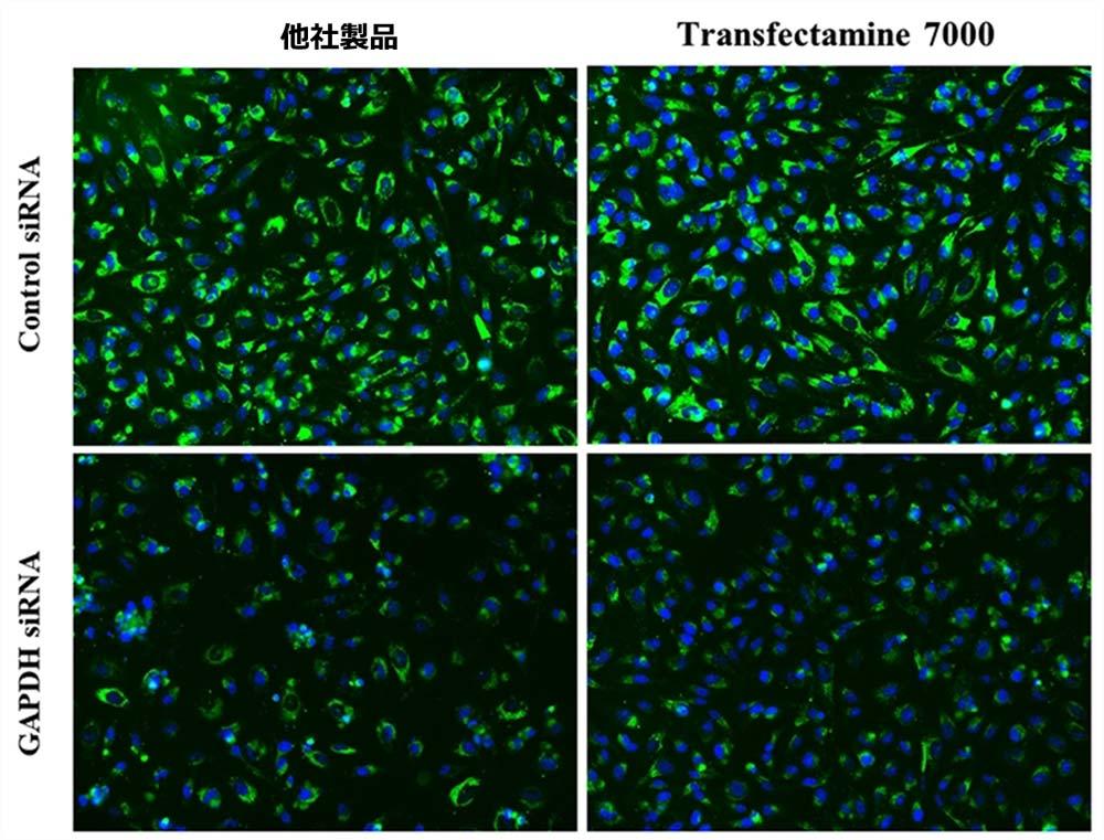 ABD_transfectamine_7000_fig1.jpg