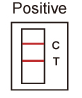  Positive