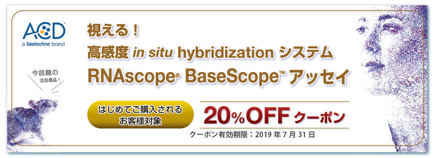 ADC_Campaign_190415_02.jpg