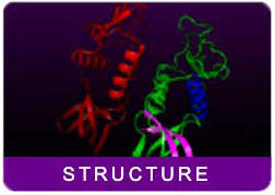 ALT_Structure_HPA_11.jpg