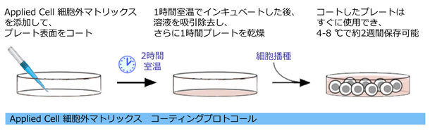 Applied Cell זEO}gbNX vgR[